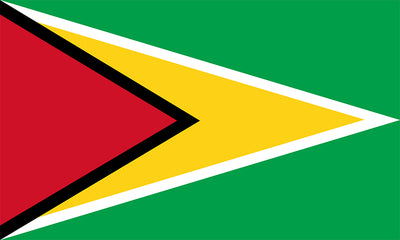 GUYANA flag