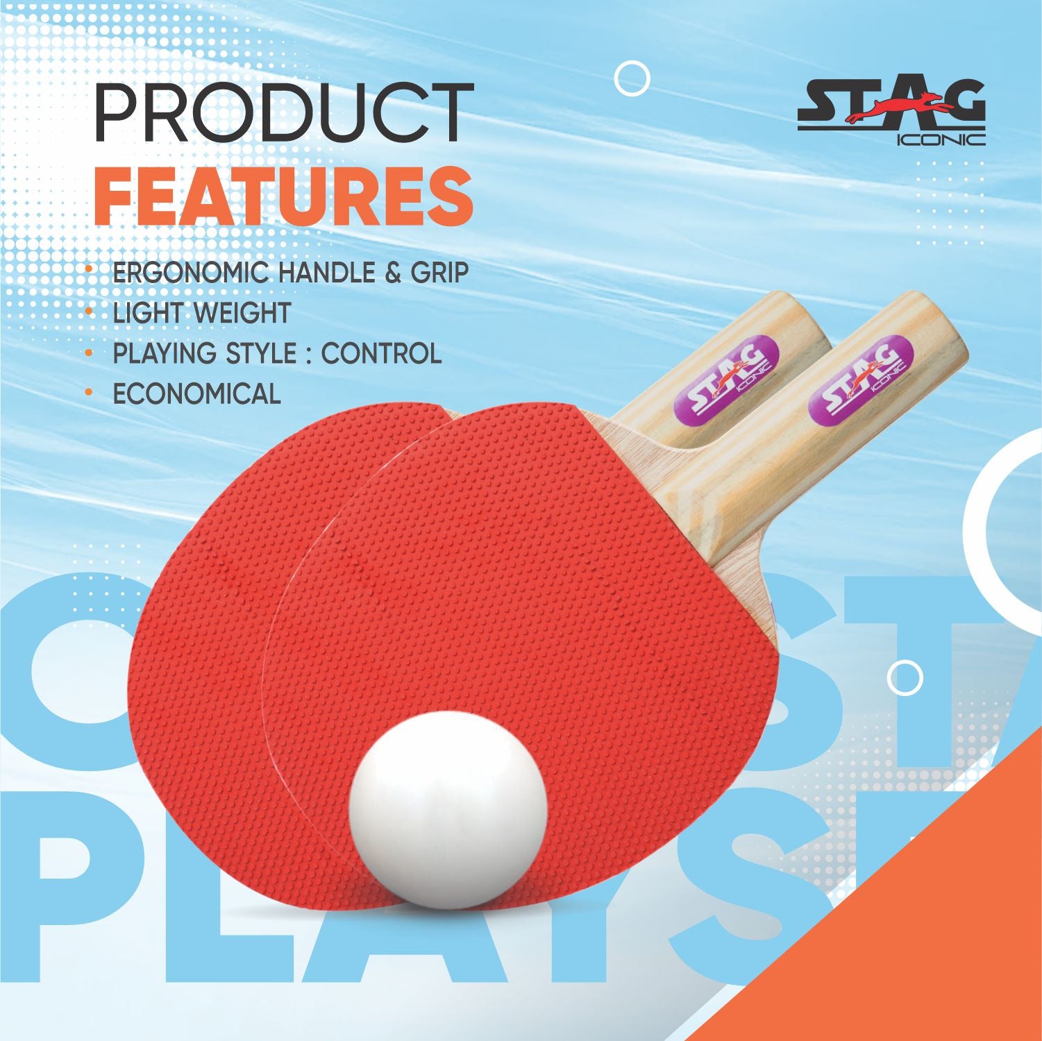 STAG 1 STAR Professional Table Tennis (T.T) Set White