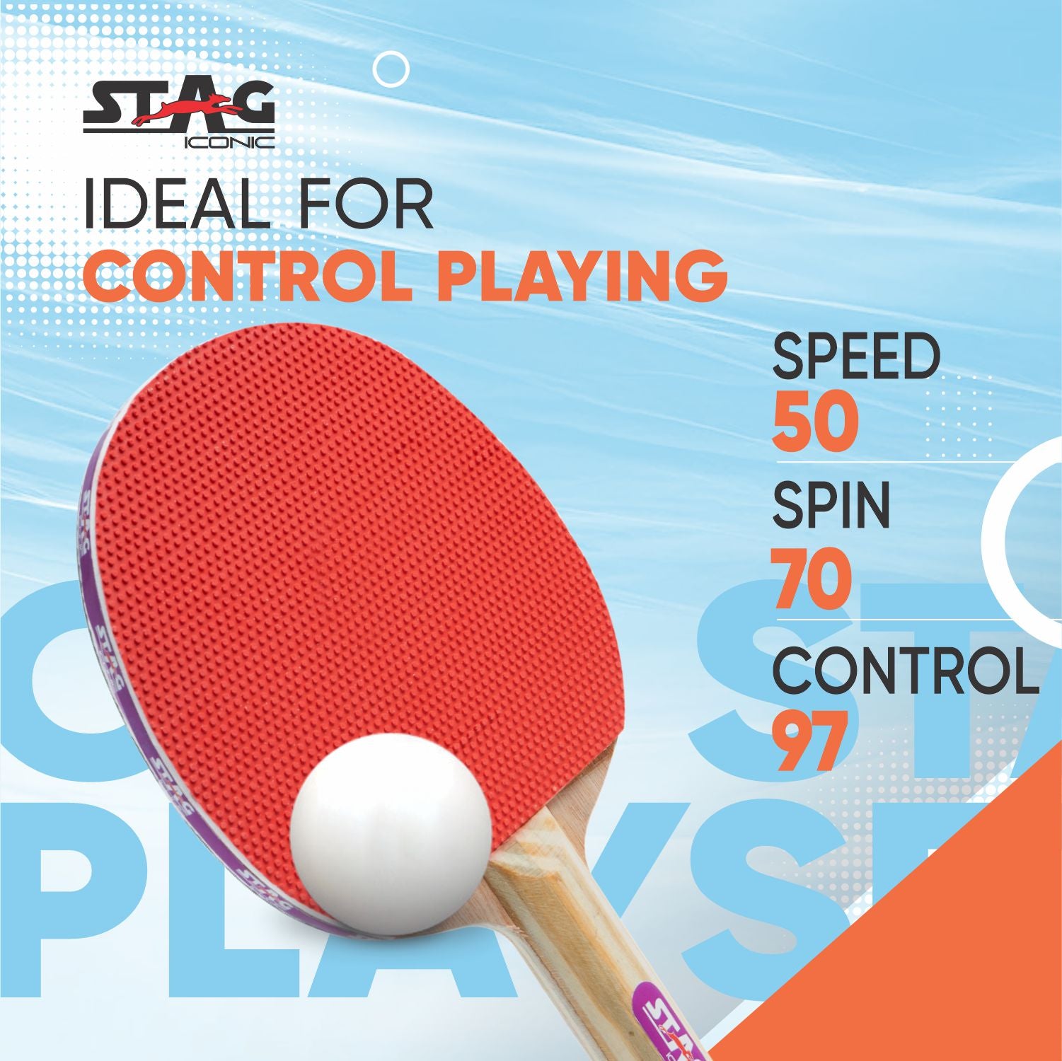 STAG 1 STAR Professional Table Tennis (T.T) Set White