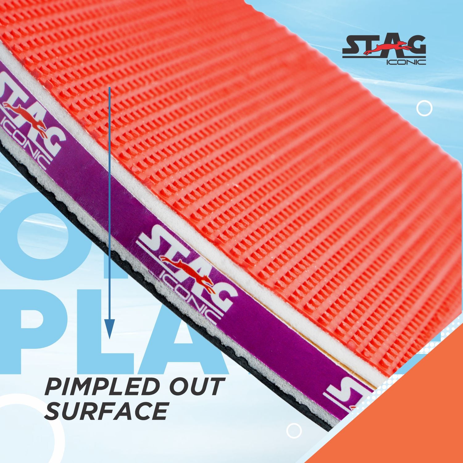 STAG 1 STAR Professional Table Tennis (T.T) Set White