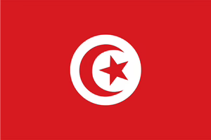 TUNISIA flag
