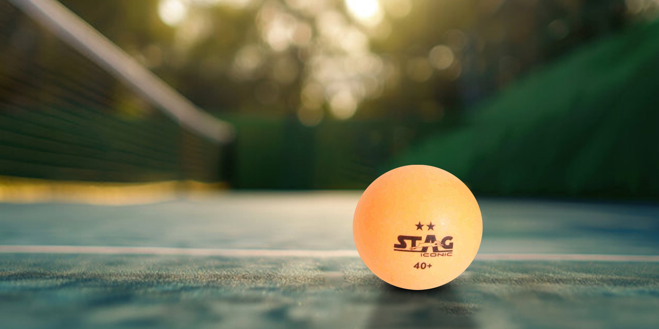 Table Tennis Balls