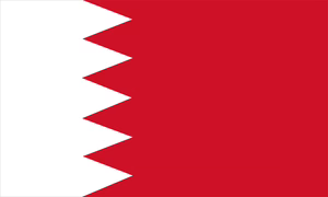 QATAR flag